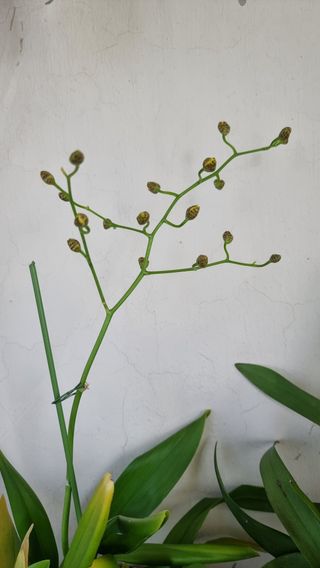 푸른꿈님의 자유주제 · 자유게시판 작성글 사진