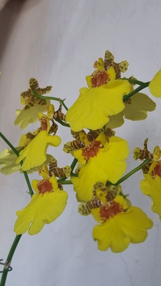 푸른꿈님의 자유주제 · 자유게시판 작성글 사진