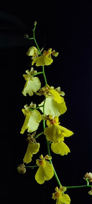 푸른꿈님의 자유주제 · 자유게시판 작성글 사진