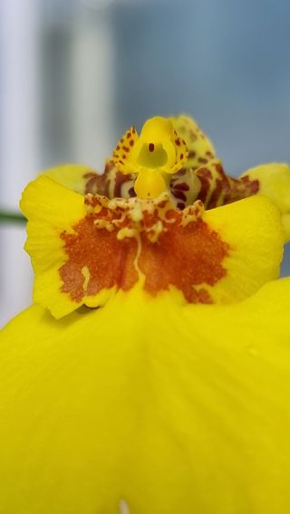 푸른꿈님의 자유주제 · 자유게시판 작성글 사진