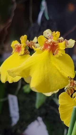 푸른꿈님의 자유주제 · 자유게시판 작성글 사진