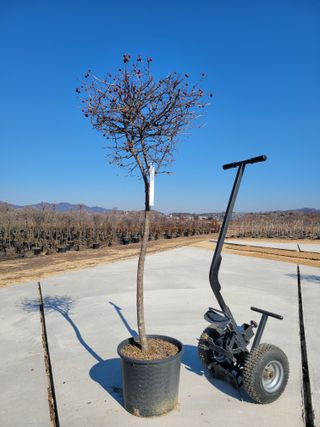 김기옥 님의 작성글 사진