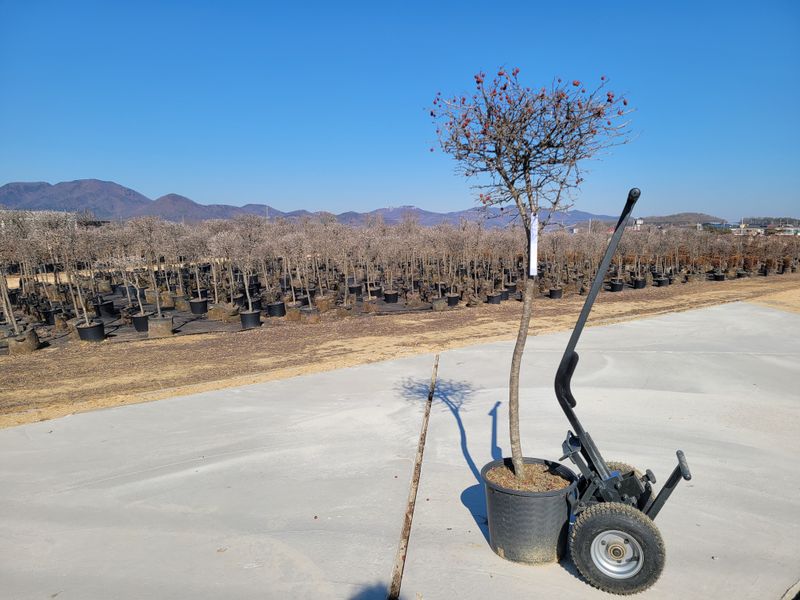 김기옥 님의 장터 판매 상품 [화분카트] 첨부 사진