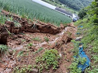 참깨5833님의 출석결과 자랑하기 · 참여글 작성글 사진