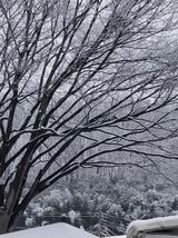 팜모닝 출석결과 자랑하기·참여글 게시글 이미지