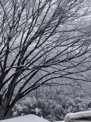 이병원 님의 출석결과 자랑하기 · 참여글 작성글 사진