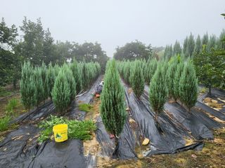김옥균 님의 1월 내 작물 자랑하기 · 참여글 작성글 사진
