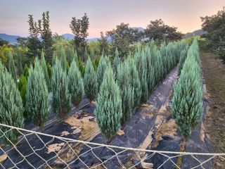 김옥균 님의 1월 내 작물 자랑하기 · 참여글 작성글 사진