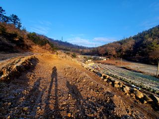김세리님의 자유주제 · 자유게시판 작성글 사진