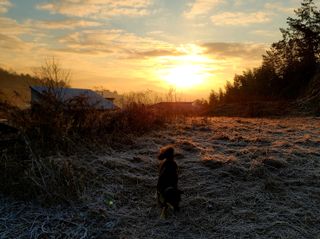 김세리님의 자유주제 · 자유게시판 작성글 사진