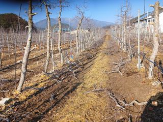 알 수 없음님의 우리동네 · 동네수다 작성글 사진