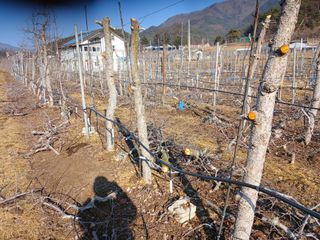 알 수 없음님의 우리동네 · 동네수다 작성글 사진