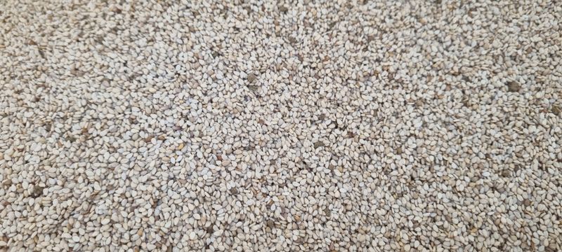 장터 상품 [참깨 1kg  판매완료] 썸네일