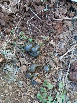 이기왕님의 출석결과 자랑하기 · 참여글 작성글 사진