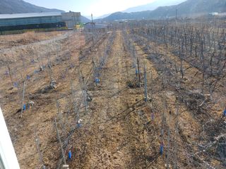 알 수 없음님의 우리동네 · 동네수다 작성글 사진