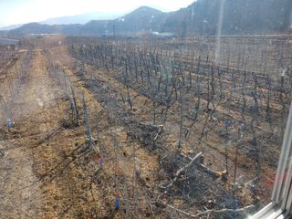 알 수 없음님의 우리동네 · 동네수다 작성글 사진