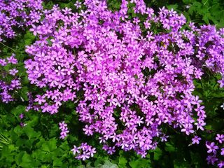 배영이님의 작성글 사진