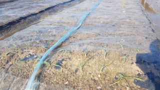 박경덕님의 1월 내 작물 자랑하기 · 참여글 작성글 사진