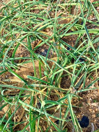 이기왕님의 출석결과 자랑하기 · 참여글 작성글 사진