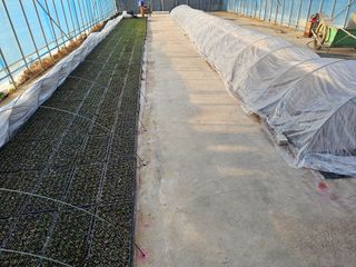 노지섭님의 1월 내 작물 자랑하기 · 참여글 작성글 사진