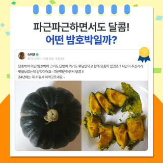 팜모닝 베스트님의 팜모닝공식 · 팜모닝 베스트 작성글 사진