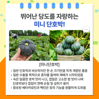 팜모닝 베스트님의 팜모닝공식 · 팜모닝 베스트 작성글 사진