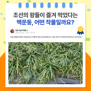 팜모닝 베스트님의 팜모닝공식 · 팜모닝 베스트 작성글 사진