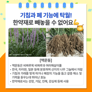 팜모닝 베스트님의 팜모닝공식 · 팜모닝 베스트 작성글 사진