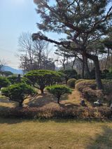 팜모닝 출석결과 자랑하기·참여글 게시글 이미지