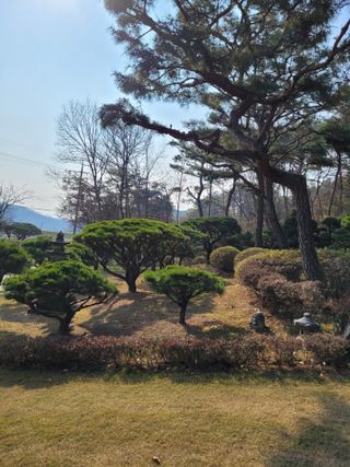 자연인유진님의 출석결과 자랑하기 · 참여글 작성글 사진