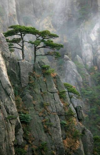 자연인유진님의 출석결과 자랑하기 · 참여글 작성글 사진