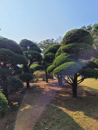 자연인유진님의 출석결과 자랑하기 · 참여글 작성글 사진