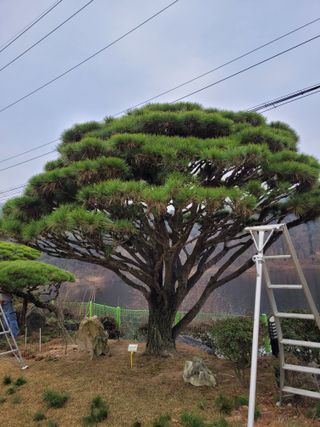 자연인유진님의 출석결과 자랑하기 · 참여글 작성글 사진
