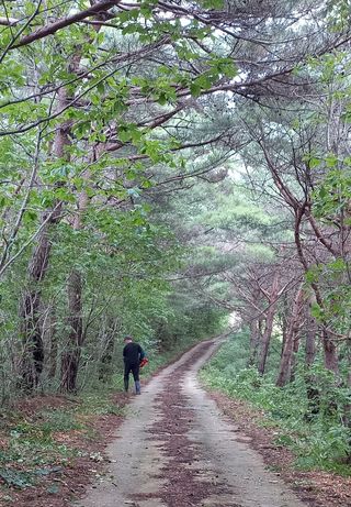 김석순 대암산아랫말님의 출석결과 자랑하기 · 참여글 작성글 사진