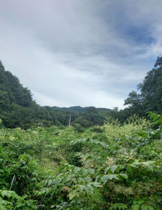 김석순 대암산아랫말님의 출석결과 자랑하기 · 참여글 작성글 사진