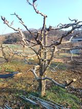 팜모닝 자유주제·자유게시판 게시글 이미지