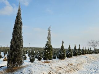 김동주님의 1월 내 작물 자랑하기 · 참여글 작성글 사진