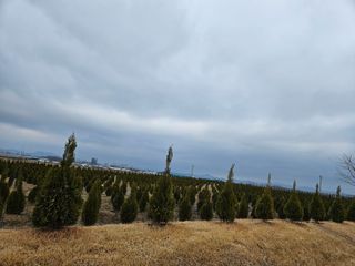 김동주님의 1월 내 작물 자랑하기 · 참여글 작성글 사진