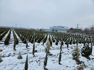 김동주님의 1월 내 작물 자랑하기 · 참여글 작성글 사진