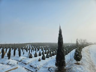 김동주님의 1월 내 작물 자랑하기 · 참여글 작성글 사진
