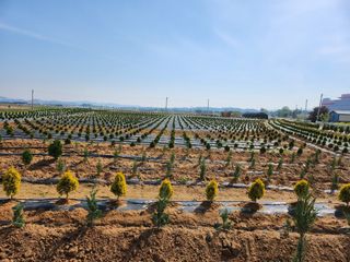 김동주님의 1월 내 작물 자랑하기 · 참여글 작성글 사진