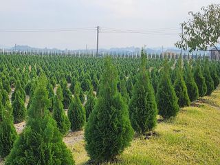 김동주님의 1월 내 작물 자랑하기 · 참여글 작성글 사진