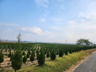 김동주님의 1월 내 작물 자랑하기 · 참여글 작성글 사진