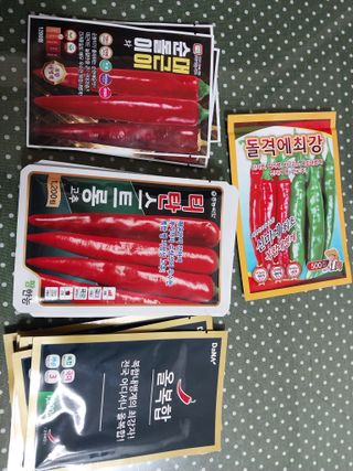 괴산 순정농부님의 자유주제 · 자유게시판 작성글 사진