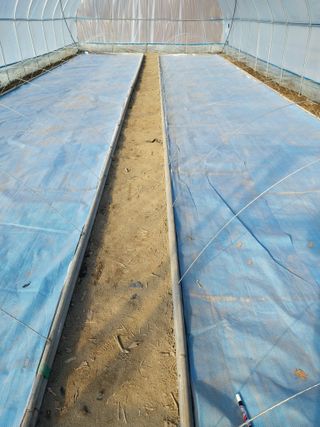 괴산 순정농부님의 자유주제 · 자유게시판 작성글 사진