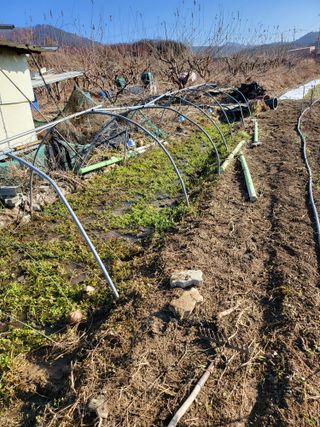 방촌대장님의 자유주제 · 자유게시판 작성글 사진
