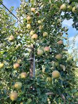 팜모닝 1월 내 작물 자랑하기·참여글 게시글 이미지