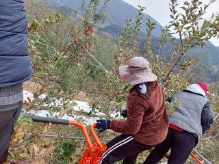 트라이애플1님의 1월 내 작물 자랑하기 · 참여글 작성글 사진