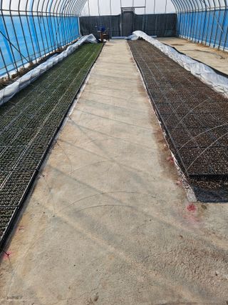 노지섭님의 1월 내 작물 자랑하기 · 참여글 작성글 사진