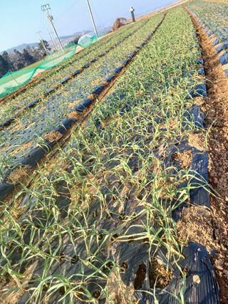 결단이님의 기타작물 · 자유게시판 작성글 사진